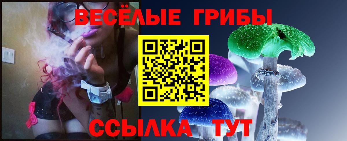 Галлюциногенные грибы Psilocybine cubensis Апатиты